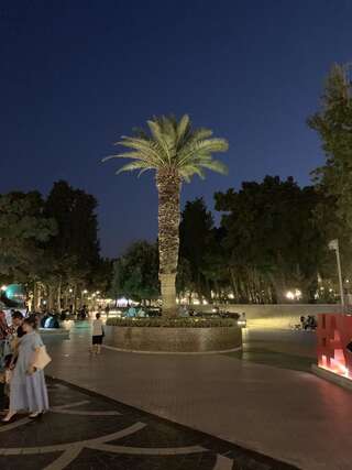 Апартаменты Apartment on Malakanes Баку Апартаменты с 2 спальнями-43